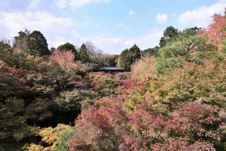 東福寺・紅葉２０１７（７）