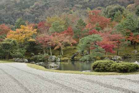 天龍寺・紅葉２０１７（４）