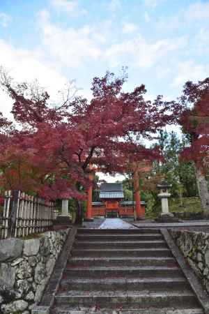 天龍寺・紅葉２０１７（１３）