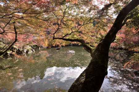 醍醐寺・紅葉２０１７（３）