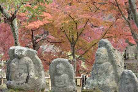 大覚寺・紅葉２０１７（４）