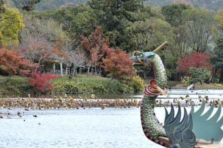 大覚寺・紅葉２０１７（７）