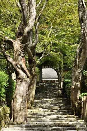 寂光院の参道