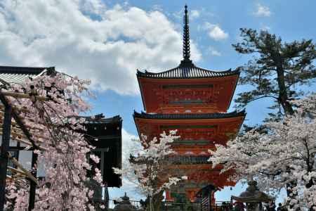 清水寺（2022年4月4日） Scene2