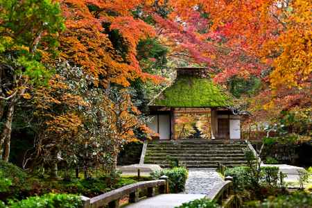 法然院　紅葉風景　scene1