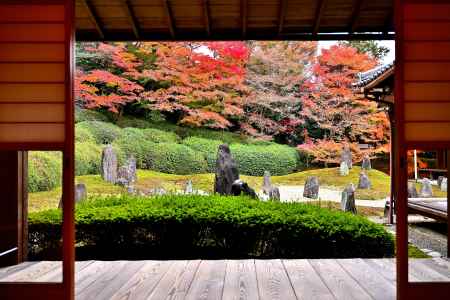 東福寺塔頭光明院　紅葉風景　scene1