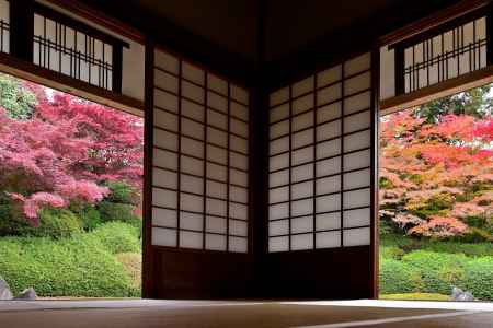 東福寺塔頭光明院　紅葉風景　scene2