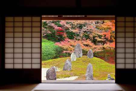 東福寺塔頭光明院　紅葉風景　scene5