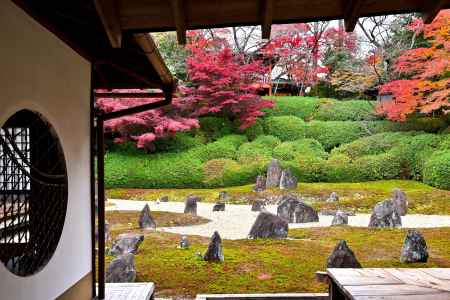 東福寺塔頭光明院　紅葉風景　scene7