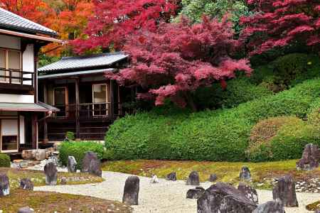 東福寺塔頭光明院　紅葉風景　scene8