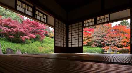 東福寺塔頭光明院　光明院　scene9