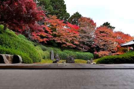 東福寺塔頭光明院　紅葉風景　scene10