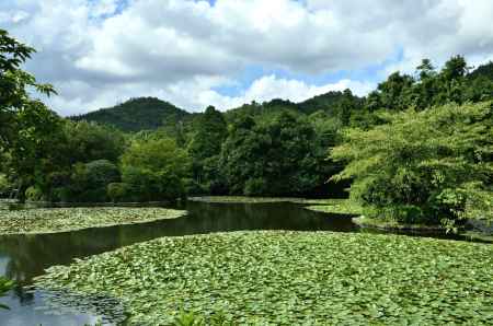 鏡のような池