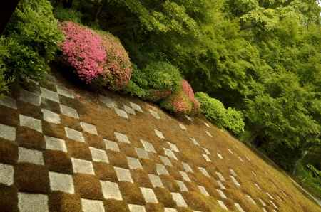 東福寺方丈の庭