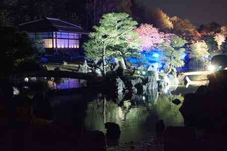 幽玄に照らされる清流園