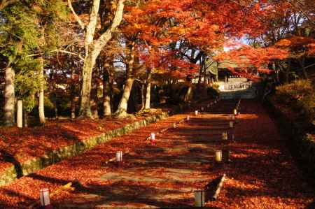 秋色の毘沙門堂