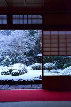 雪、舞い落ちる