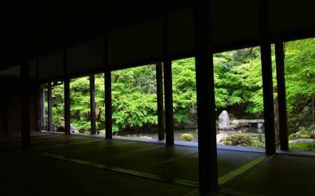 洛北蓮華寺　青もみじ　初夏