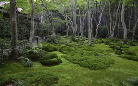 祇王寺