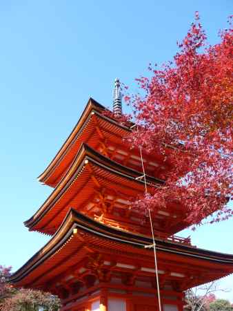 紅葉と子安塔　（清水寺）