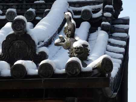 雪に跳ねる （雪の金閣寺） 2014.01