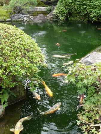 祇園甲部歌舞練場庭園　2013.7 