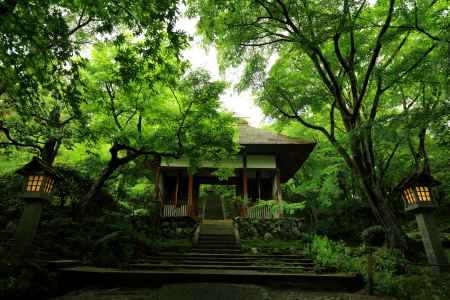 常寂光寺　仁王門