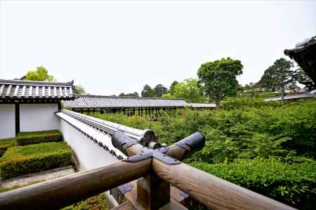 京都散歩：東福寺14