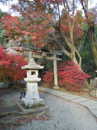 紅葉に囲まれた弁天堂鳥居