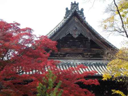 屋根と紅葉