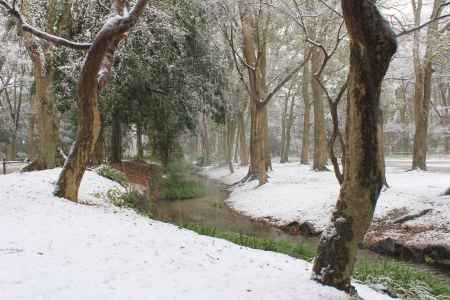 雪の糺の森（奈良の小川）