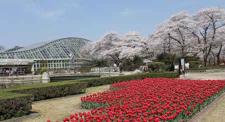 春の植物園