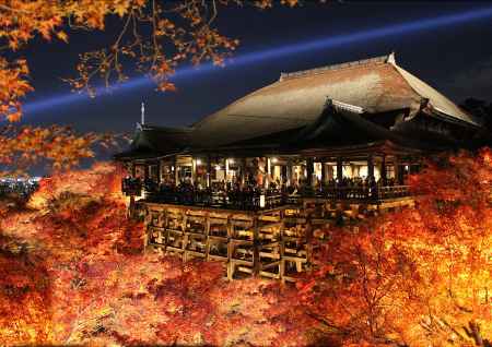 紅葉のライトアップ　清水寺