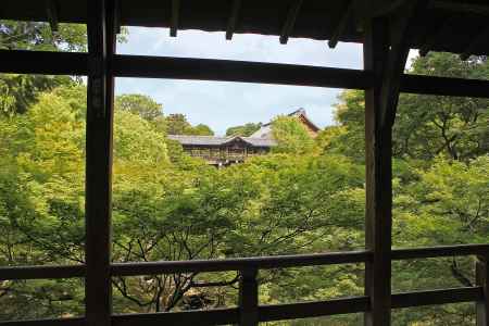 青もみじに包まれた通天橋