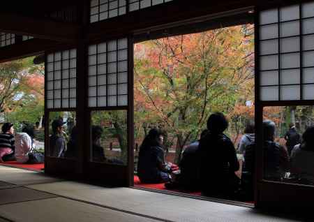 紅葉の圓光寺にて