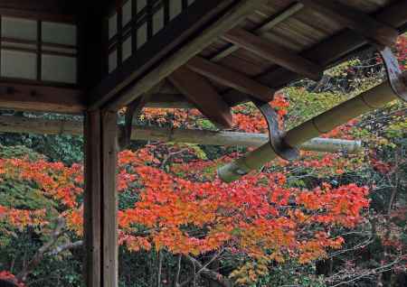 詩仙堂の紅葉