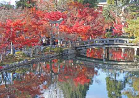 放生池に映る紅葉