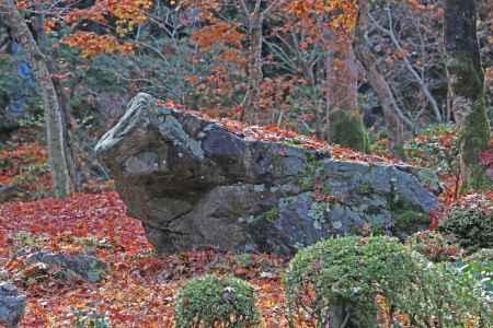 紅葉の落ち葉にうまる石の牛