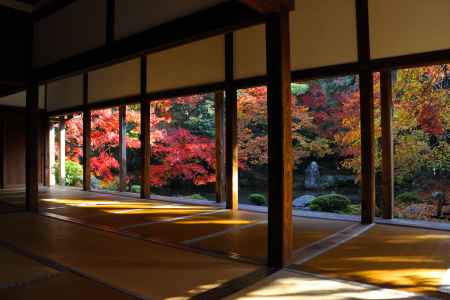 早朝の蓮華寺