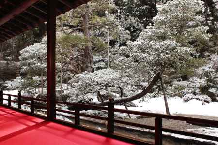 曼殊院門跡　雪の庭園