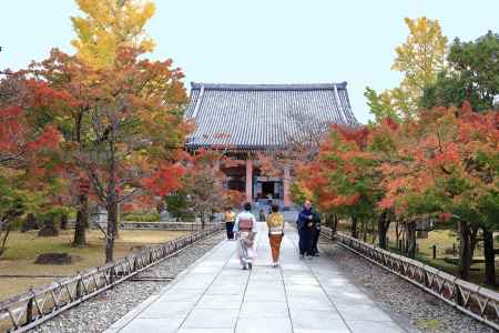 智積院　金堂への紅葉の参道