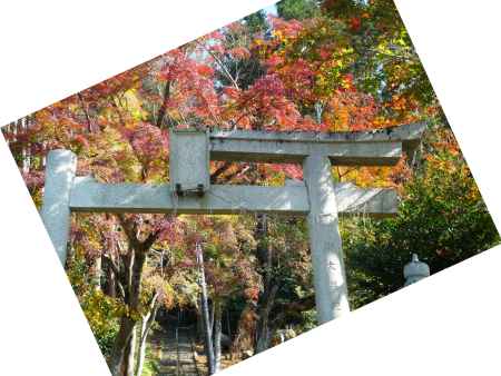 妙見神社の紅葉