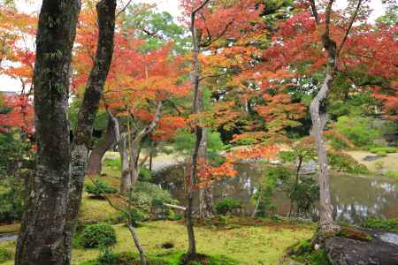 無鄰菴の紅葉