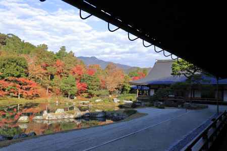 天龍寺大方丈前の庭園