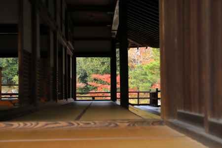 天龍寺大方丈廊下から見た曹源池庭園の紅葉