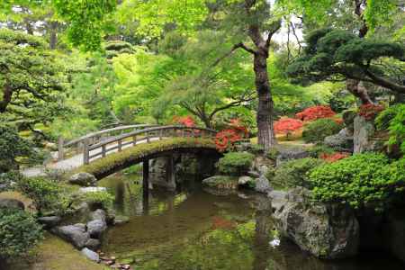 京都御所の御内庭