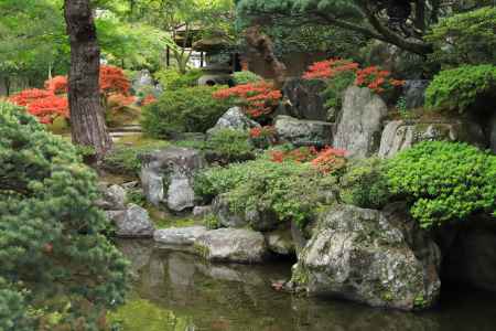 京都御所　新緑の御内庭