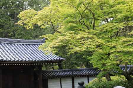 西芳寺の総門