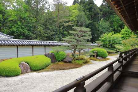 西芳寺本堂の庭園