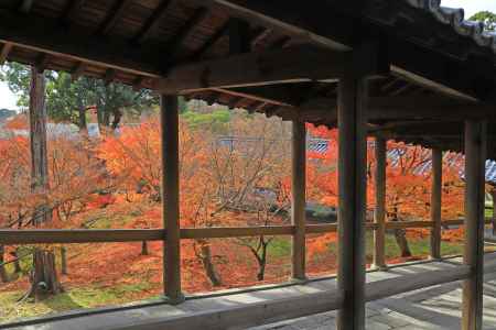 東福寺開山堂への回廊の紅葉